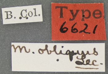 Media type: image;   Entomology 6621 Aspect: labels